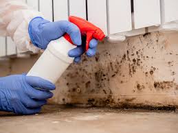 Mold Remediation for Vacation Homes in Clarkston, WA